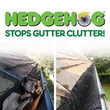 Residential Gutter Services by Gutter Gremlin