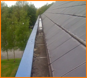 Commercial Gutter Services by Gutter Gremlin